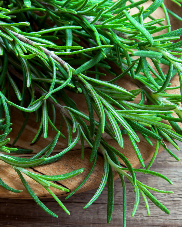 Rosemary Extract