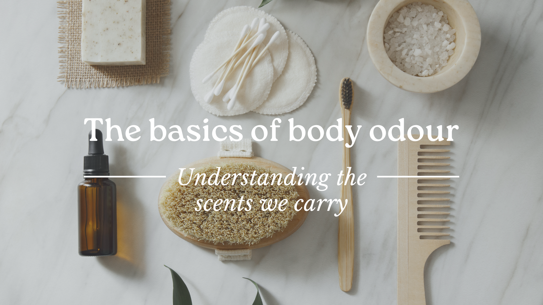 The Basics of Body Odour: Understanding the Scents We Carry