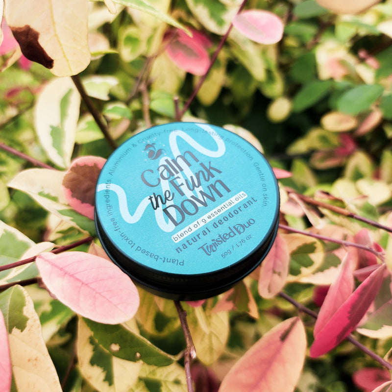Calm the Funk Down jar of natural deodorant on yellow and red leaves and branches