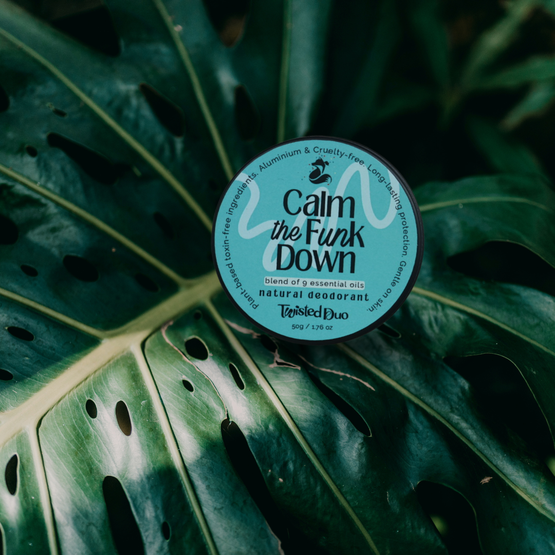 ctfd on monstera leaf.png